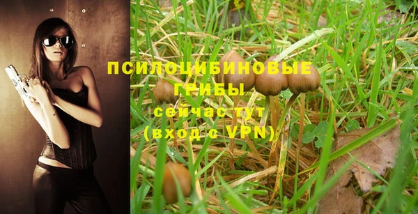 a pvp Алексеевка