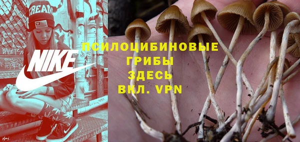 прущая мука Алексин