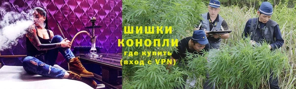 ГАЛЛЮЦИНОГЕННЫЕ ГРИБЫ Рославль
